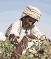 The challenges faced by small scale farmers in Sudan